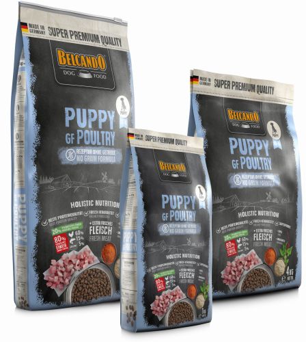 RS6089_BB_Puppy_GF_Poultry_Gruppe_RGB-hpr.jpg