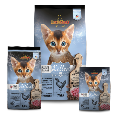 RS7038_bl_kitten_gf_alle_front.png