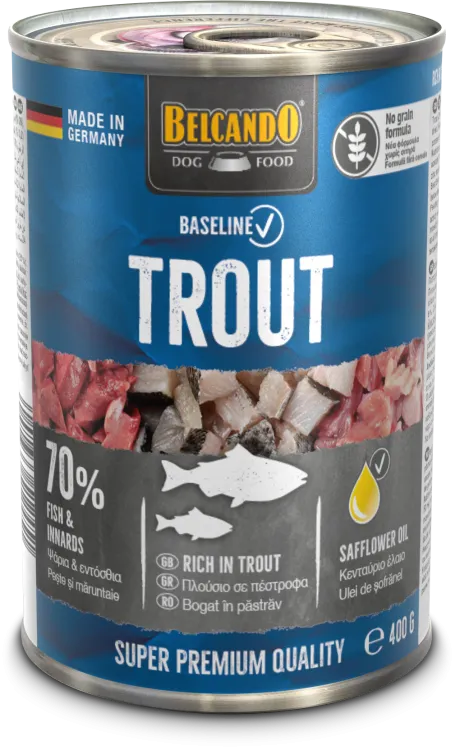 baseline_dose_forelle_400.png