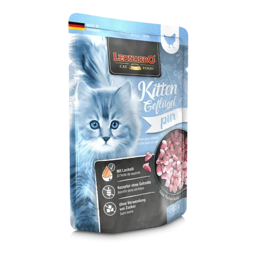 kitten drób.webp