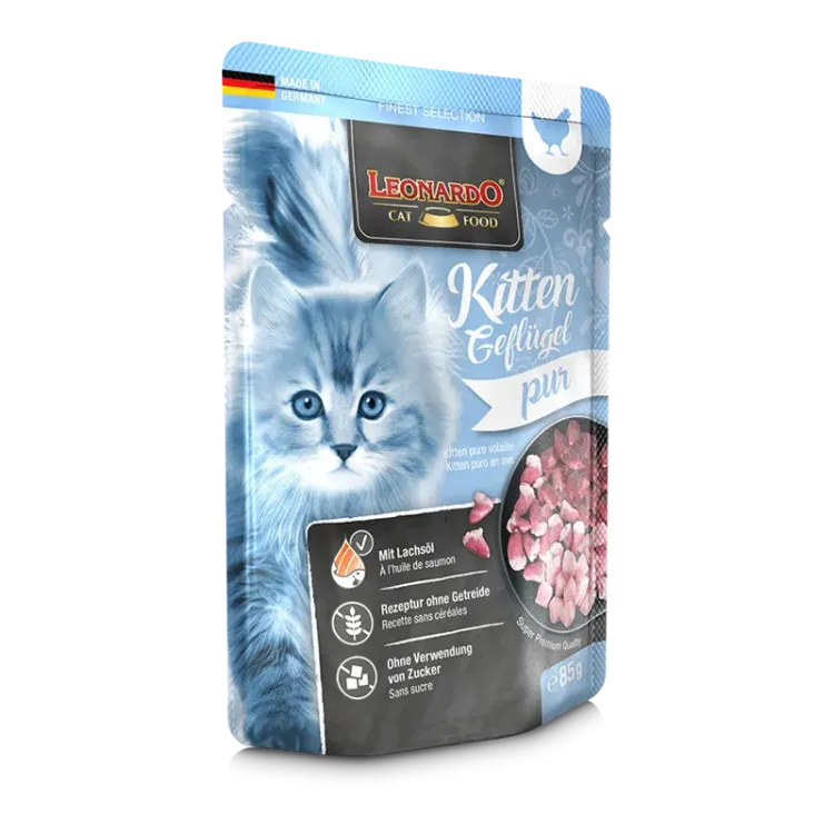 kitten drób.webp