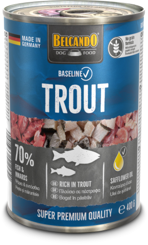 baseline_dose_forelle_400.png