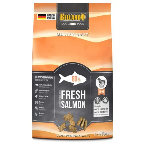 salmon front.webp