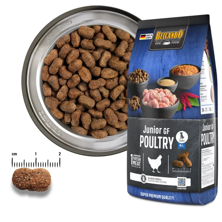 bb-classic-junior-gf-poultry-foodcomp_1920x1920.jpg.webp