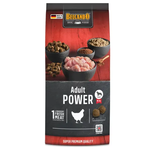 bb-classic-adult-power-1kg-front_1920x1920.jpg.webp