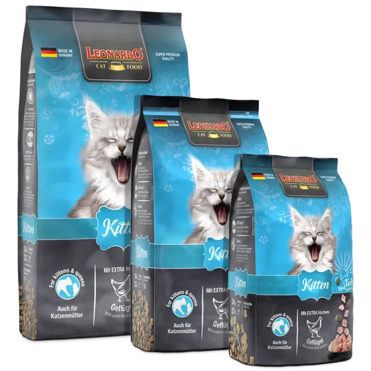 bl-kitten-composing-800px_1920x1920.png.webp