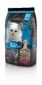 Leonardo Kitten 2kg.jpg