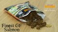 FINEST GF SALMON.JPG