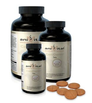 CaniDerm.jpg