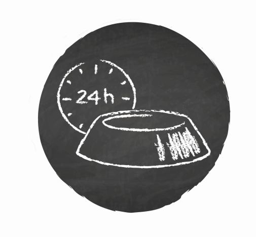 24h.jpg