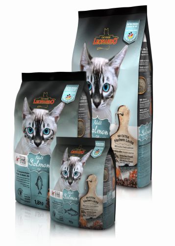 Leonardo Salmon GF.jpg