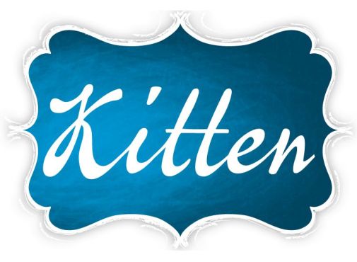 KITTEN - GRAFIKA.jpg