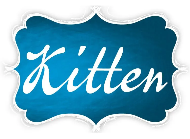 KITTEN - GRAFIKA.jpg
