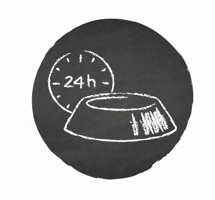 24h.jpg