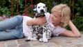 Puppy - Zdjęcie na opakowaniu.jpg