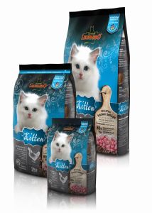 LEONARDO® Kitten